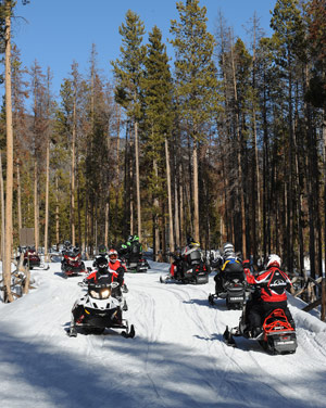 Snowmobilers snowmobiling along a trail