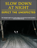 Vertical Poster of Snowmobilers and text ‘Slow Down at Night. Expect the Unexpected'